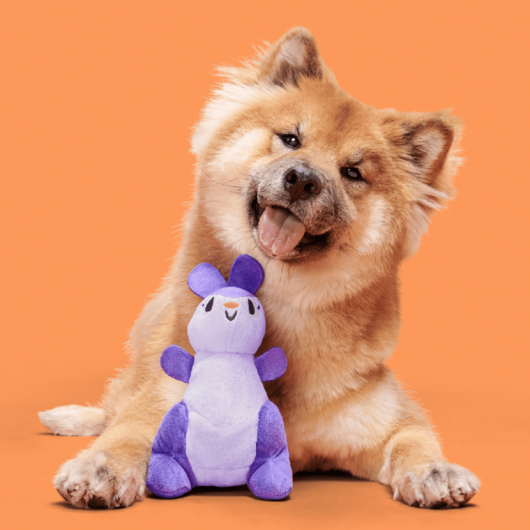 Bark Topanga Kanga Dog Toy