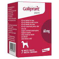 Galliprant Tablets for Dogs