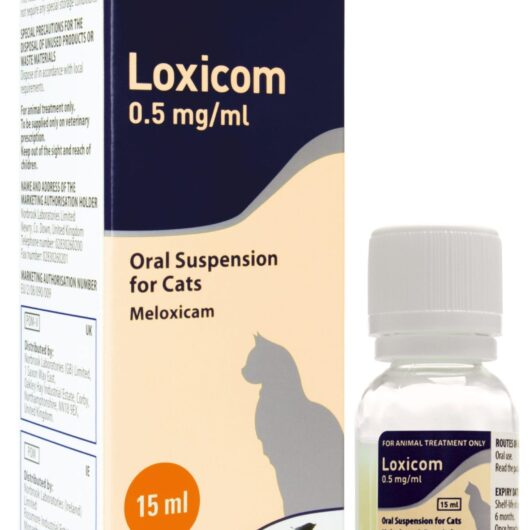 Loxicom Oral Suspension for Cats