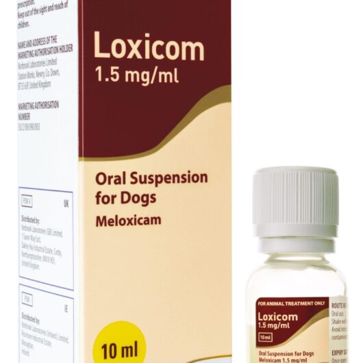 Loxicom Oral Suspension for Dogs