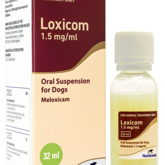 Loxicom Oral Suspension for Dogs